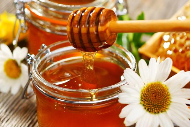 Интернет-проект «Вестник ЗОЖ». О пользе мёда. Как выбирать и как хранить мед