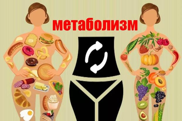 Интернет-проект «Вестник ЗОЖ». Что такое метаболизм?