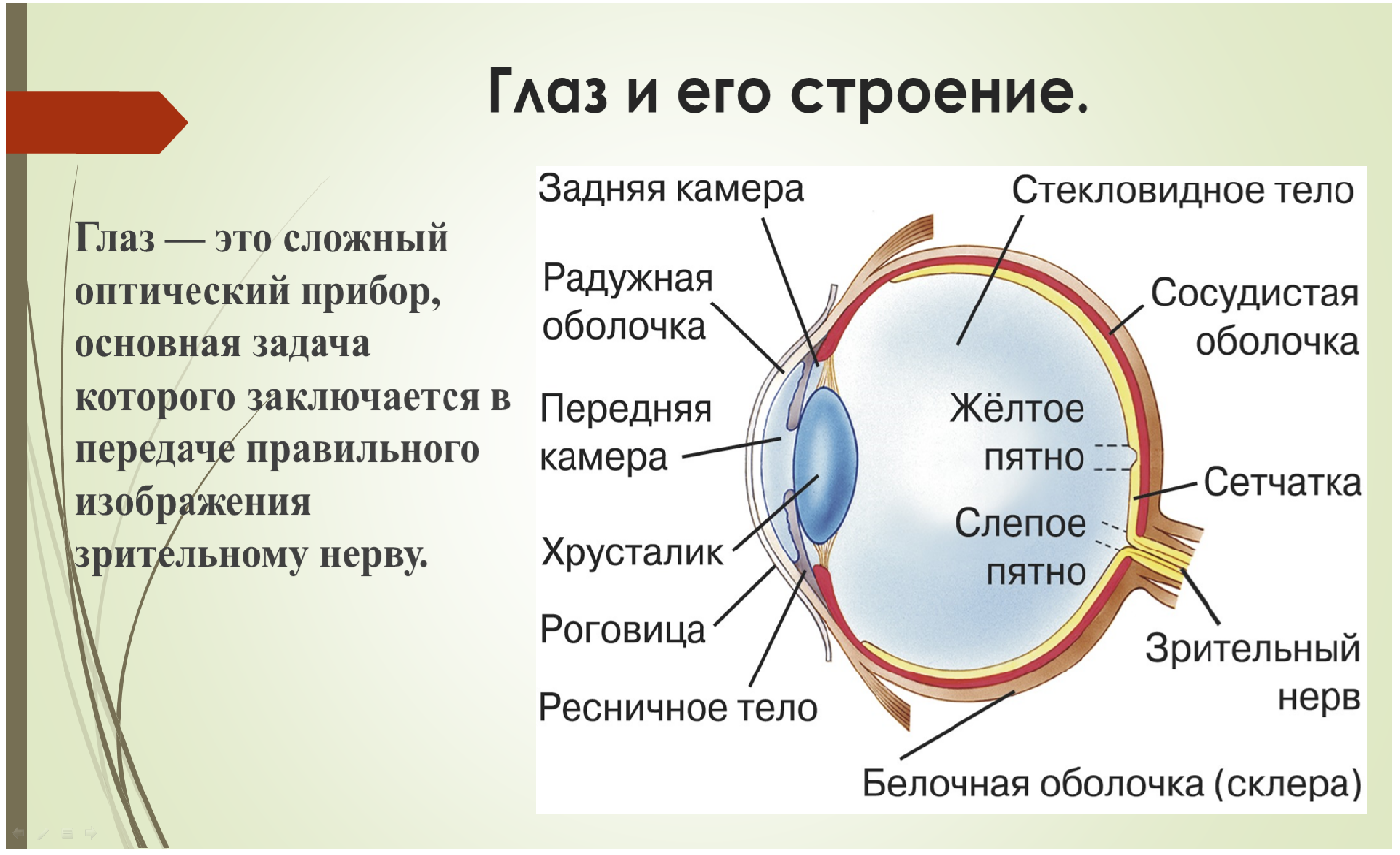 Итоги конкурса научно-исследовательских работ обучающихся «Роль сестринского  персонала в профилактике и обеспечении ухода за пациентами при различных  заболеваниях и состояниях»