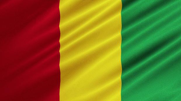 Интернет-проект «Расскажи о своей стране!»: Гвинея