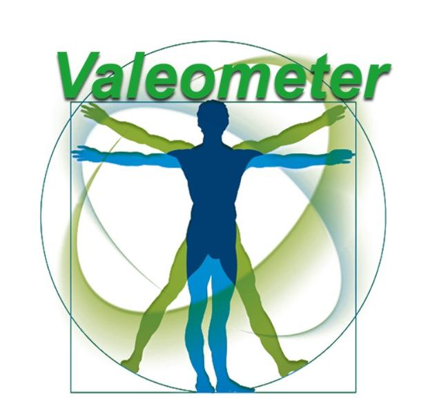 Итоги тестирования с использованием аппаратно-программного комплекса «Истоки здоровья Valeometer»