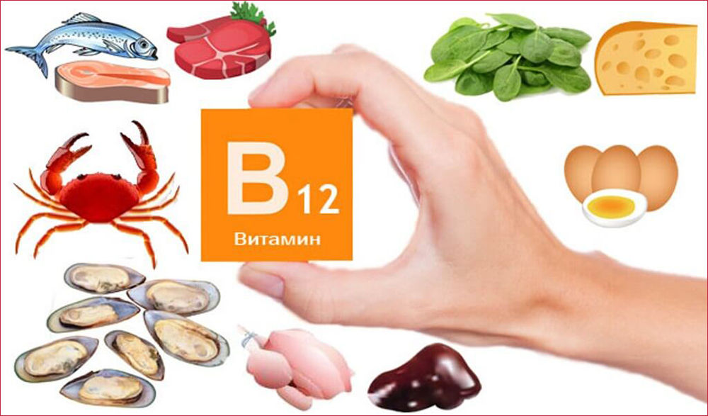 VITAMINA B12 NEDOSTATOCHNOST39    OligoLab